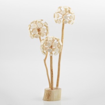 iM Studio Dandelions im-ocean.com